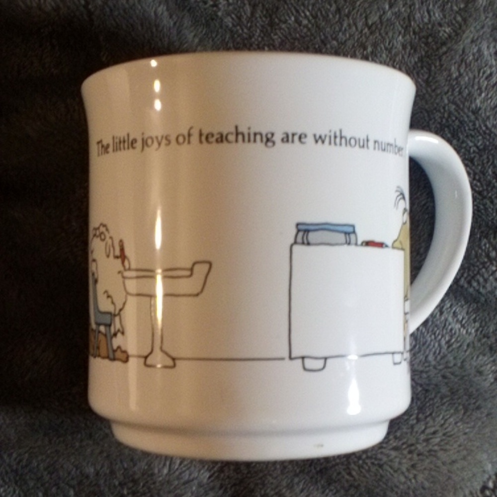 NEW MUG THE LITTLE JOYS OF TEACHING ARE WITHOUT NUMBER 😜😜